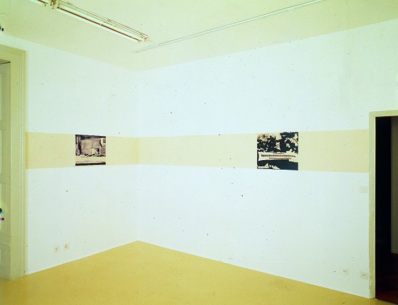 Luc Tuymans, vue de l'exposition, 1995
