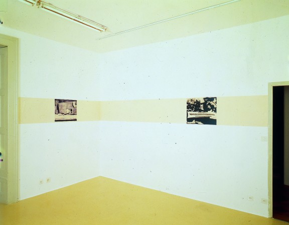 Luc Tuymans, view of the exhibition, 1995