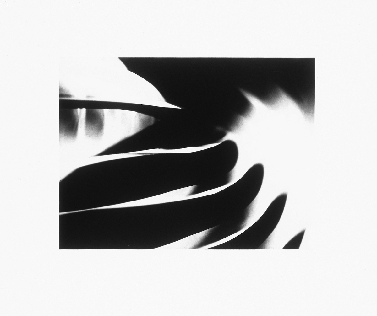 Florian Pumhösl, Etudes abstraites, 2004