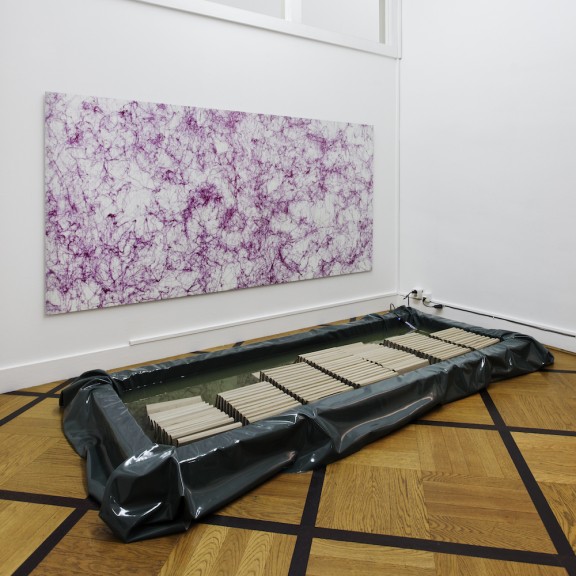 Aaron Flint Jamison, vue de l'exposition, Centre d'édition contemporaine, Genève, 2011