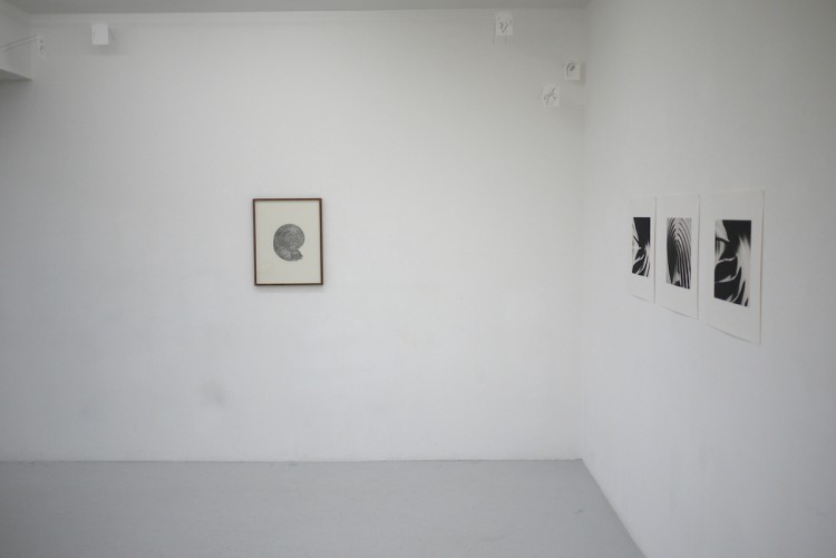 Vue de l'exposition Abstractions sentimentales et quelques éditions, Centre d'édition contemporaine, Genève, 2011