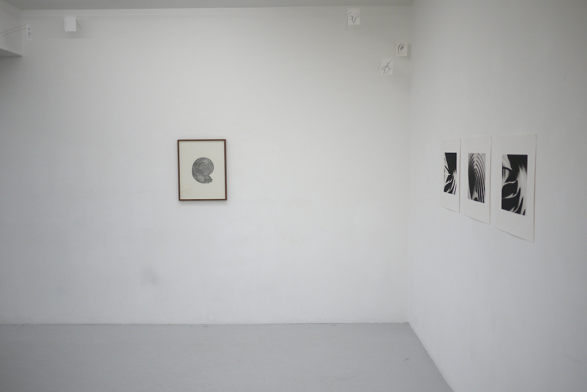 Vue de l'exposition Abstractions sentimentales et quelques éditions, Centre d'édition contemporaine, Genève, 2011