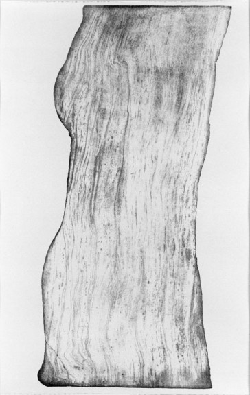 Giuseppe Penone, Images de Pierre, 1993