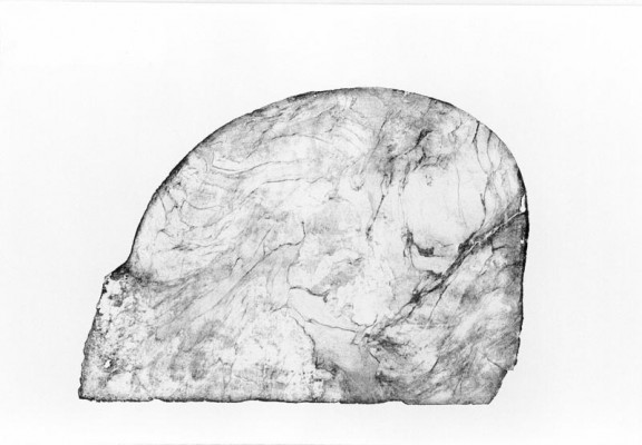 Giuseppe Penone, Image de pierres, 1993