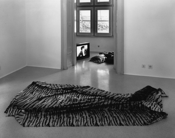 Karen Kilimnik, vue de l'exposition, 1995