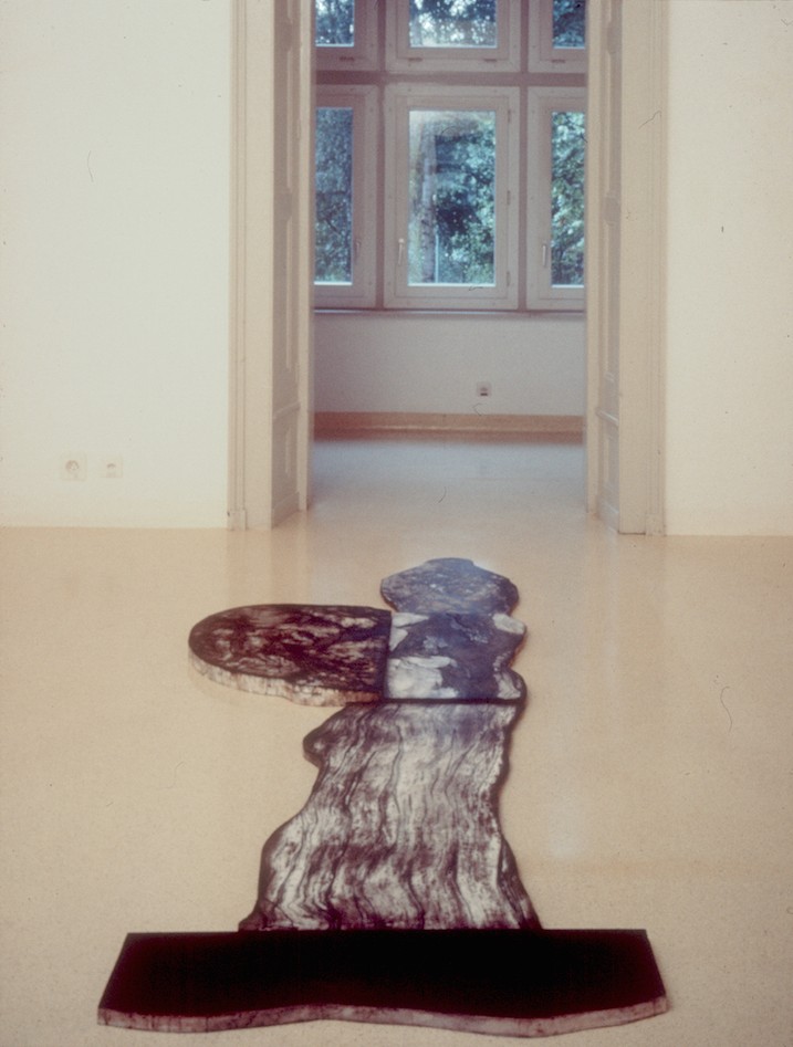 Giuseppe Penone, <em>Images de pierres</em>, 1993