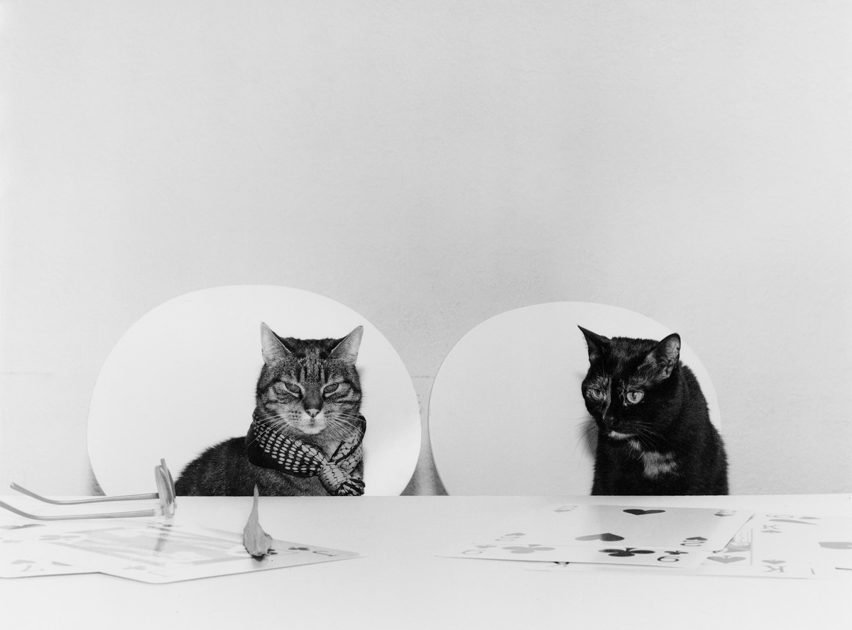 RM, RM photographed by Mathilde Agius, CATS, ed. of the CEC, 2023