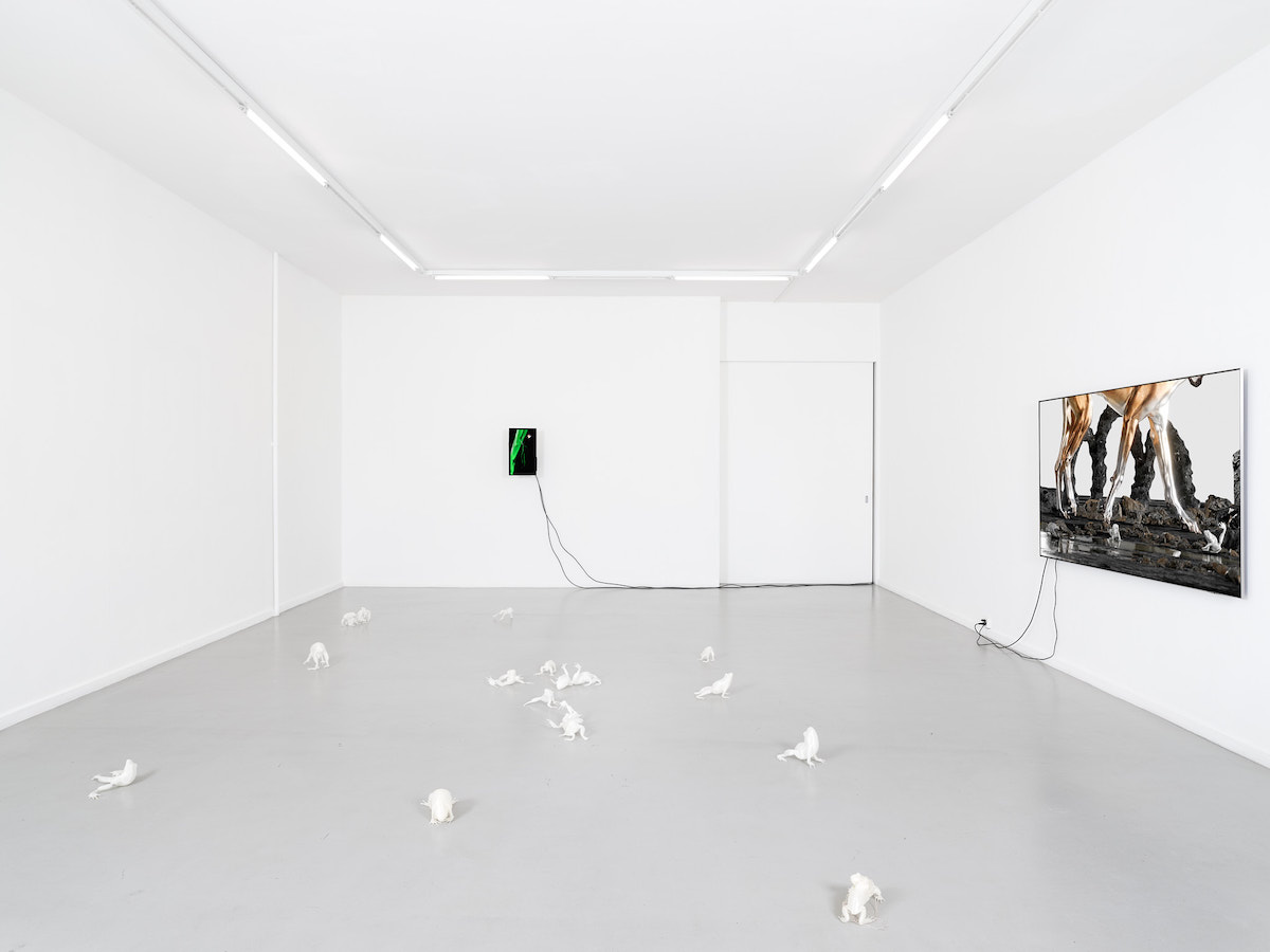 View of the exhibition Caroline Schattling Villeval, Carences et toute-puissance, CEC, 2024 © Sandra Pointet