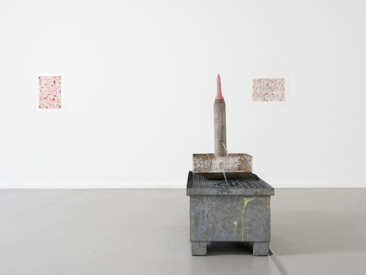 Vue de l’exposition Timothée Calame, Gymnique Incontinentale, CEC, 2025 © Sandra Pointet