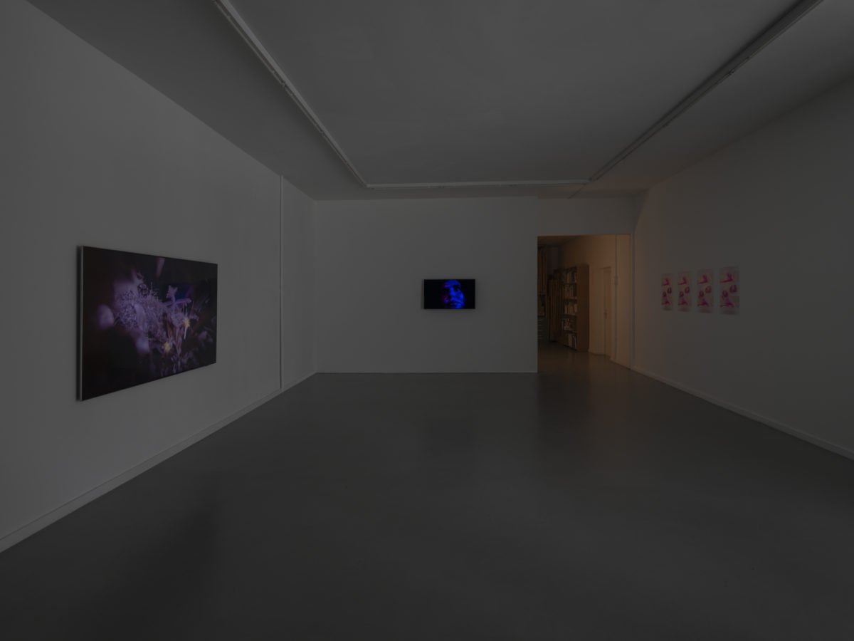 Vue de l’installation de Denis Savary, CEC, 2025