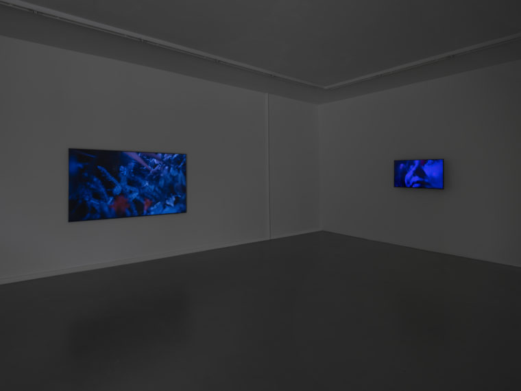 Vue de l’installation vidéo de Denis Savary, CEC, 2025 © Julien Gremaud