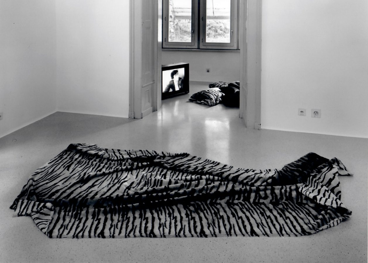 Vue de l'exposition, Karen Kilimnik, Tiger, Centre genevois de gravure contemporaine / Centre d’édition contemporaine, 1995