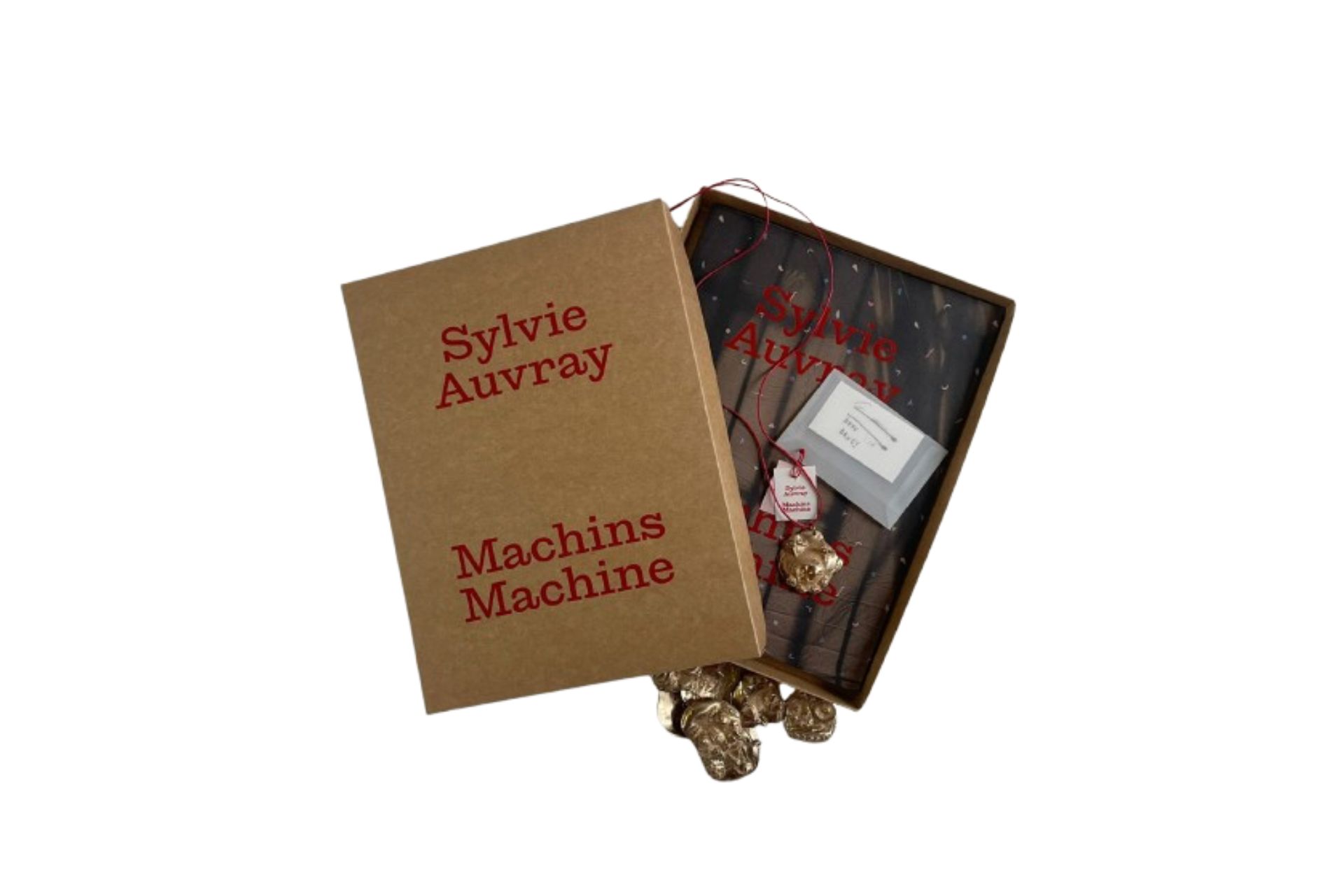 Sylvie Auvray, Machins Machines, coédition Archivorum×M et Editions Macula